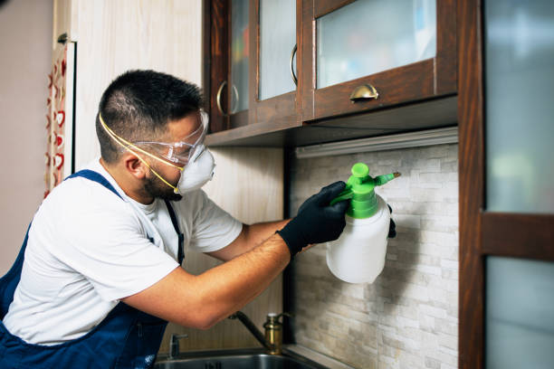 Best Best Pest Control Companies  in Camp Verde, AZ