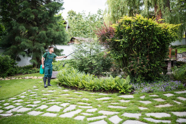 Best Wasp Removal Services  in Camp Verde, AZ