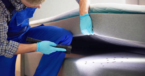 Best Affordable Pest Control Services  in Camp Verde, AZ